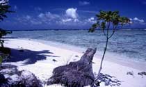 Pulau Pelangi